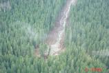 An aerial view of the landslide across from Ohanapecosh Campground.