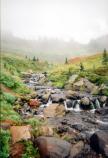 Edith Creek as seen on a foggy, autumn day.