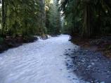 Flood waters rush down the Carbon River Road a day after the storm