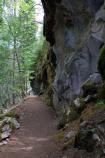 trails, oregon caves, spring