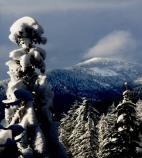 Oregon Caves - winter
