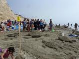 2012 Sand Sculpture Contest: Adult/Family Group Entry #03: Turtle Family, by the Frank family