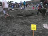 2006 Sand Sculpture Contest: Children's Group Entry #02: Turtle by Alec and Kevin