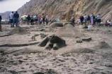 2003 Sand Sculpture Contest: Entry #02: Giza Beach