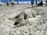 2002 Sand Sculpture Contest: Unidentified Sculpture #1: unknown animal