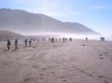 Fifth grade students on a coastal education program at Crescent Beach.