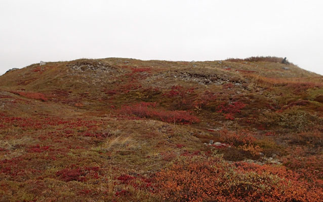 Hill, where Gallagher Flint Station site is located, covered in red tundra. 
