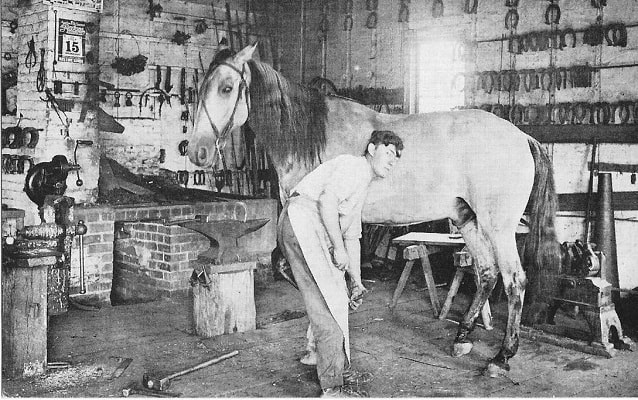 blacksmith shoeing a horse at homestead's blacksmith shop