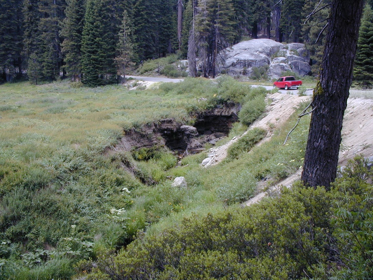 View of deep, eroded gully in a meadow with a road at the head of the gully and a truck driving by.