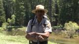 Easy Yosemite Valley Day Hikes