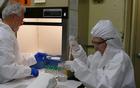 Two staff wearing protective clothing and glasses work in a laboratory.