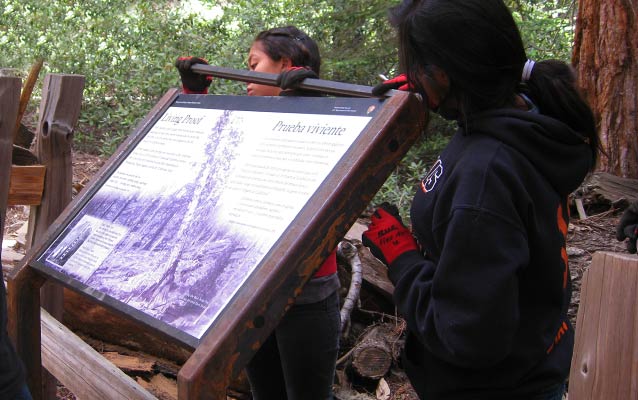 Two girls add a top railing to an outdoor exhibit