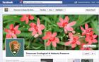 Timucuan Facebook Page