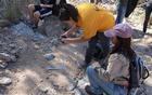 High school student volunteers photograph wildlife tracks 