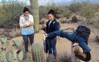 Two youth interns and a volunteer measuring a saguaro 