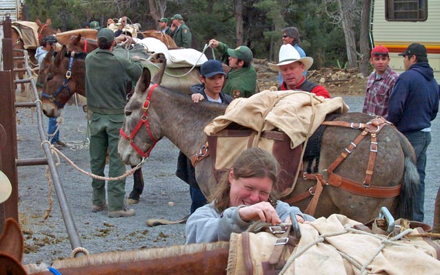 Park staff participates in mule packing safety training.