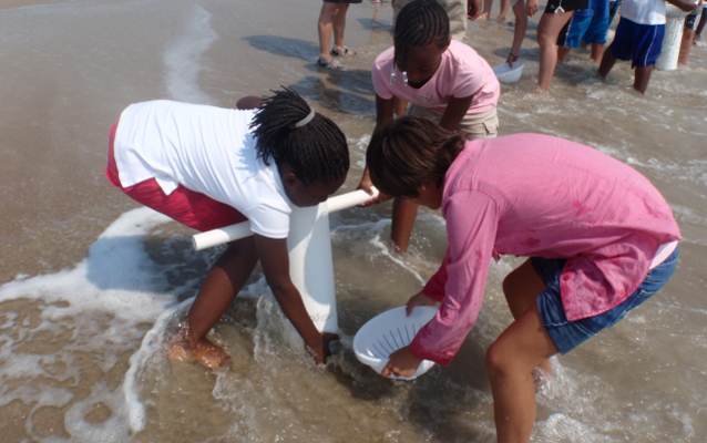 Three children using equipment to capture mole crabs in the surf