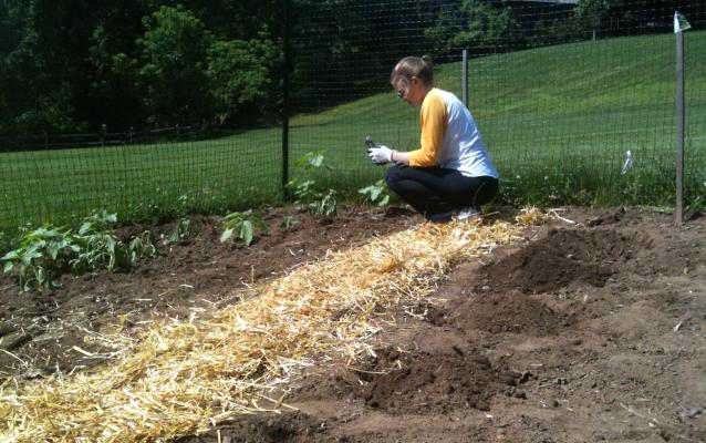 It takes a lot of people to grow a garden