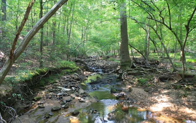 Come out and take a hike, the views will surprise you.