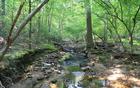 Come out and take a hike, the views will surprise you.