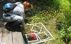 Image of research bending down from boardwalk toward plastic squares floating in plant-covered water
