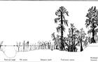 Habitats of the swamp