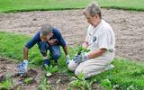 Engage youth through Park Stewards program
