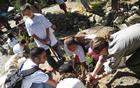 First Bloom Participants plant trees in Devils Postpile National Monument