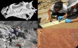 Four images of paleontological research in Dinosaur National Monument