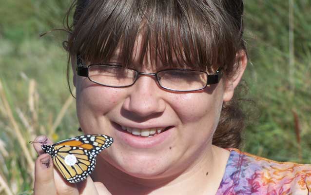 Monarch butterfly with a tag
