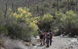 Diverse youth and a park ranger examine a plant encountered on a hike in a wash in Saguaro National Park. 