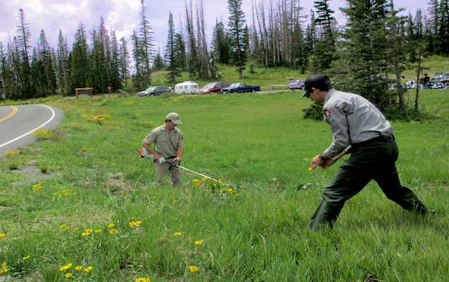 Cedar Breaks employees use safety equipment on the job daily.