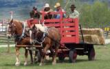 Park staff driving a team a horses.