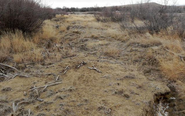 Area on the park site to be restored.