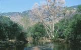 Photo of Rincon Creek 
