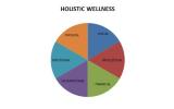 Holistic wellness components of the Healthy Awards Program
