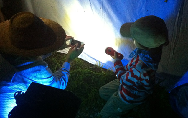 Photographing moths at Marsh-Billings-Rockefeller NHP