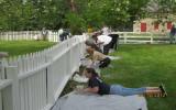 U.S. Navy Voluteers Painting a Fence at Hampton NHS