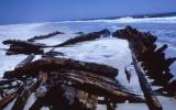 A shipwreck exposed in the surf after a storm.
