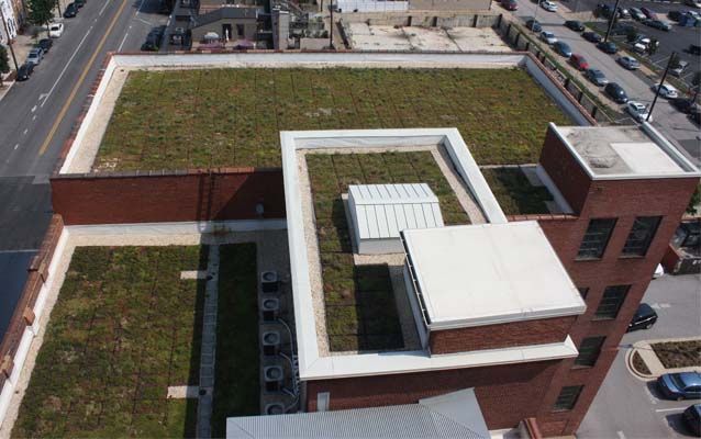 View from above of green roofs on industrial buildings.