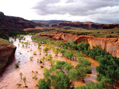 One result of climate change may be more, larger  floods, like this flash flood in Glen Canyon NRA