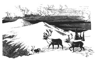 drawing of three caribou crossing a snowy mountain