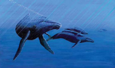 painting of two whales underwater