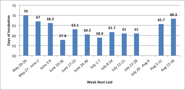 Figure 3. Average incubation days of nests by week nest was laid (2014).