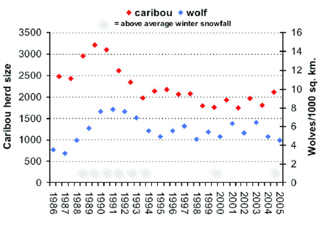 a line chart showing how caribou prosper in mild winters while wolves prosper in snowy winters