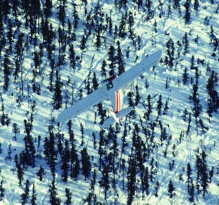 a small plane flying low over a snowy forest