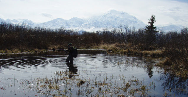 person wading in a knee-deep pond fringed by brush, mountains in the distance