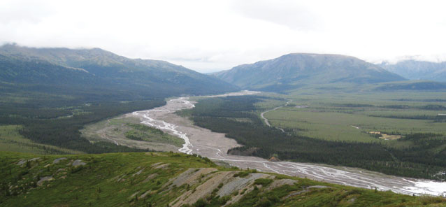 a thin river surrounded by spruce trees leading off toward two green mountains