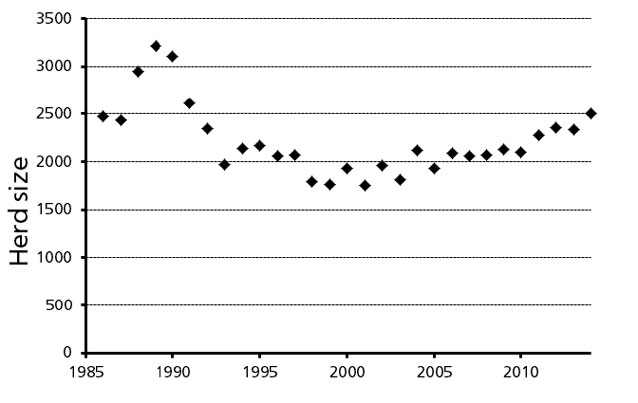 chart indicating caribou populations peaking in the 1970s before declining rapidly