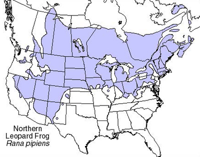 Range of the northern leopard frog in North America